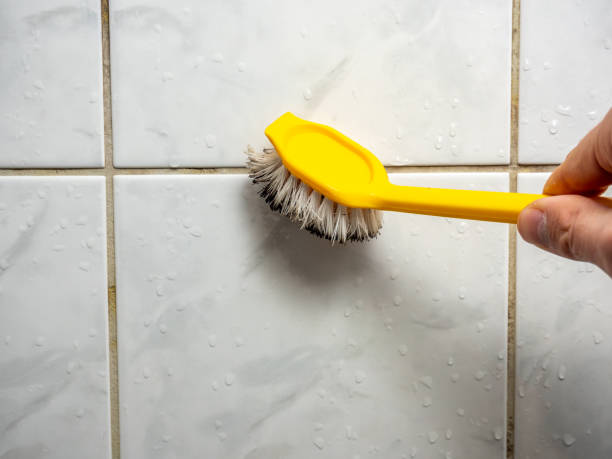 Home Mold Removal in Wellington, KS
