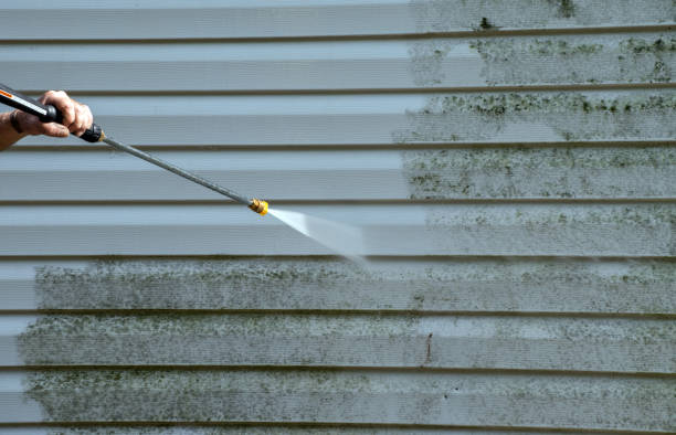 Attic Mold Removal in Wellington, KS