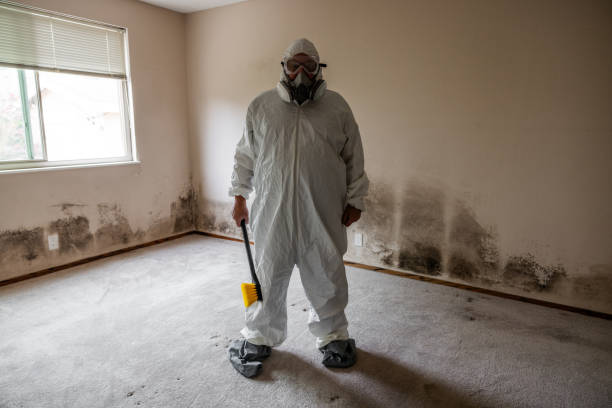 Best Home Mold Removal  in Wellington, KS